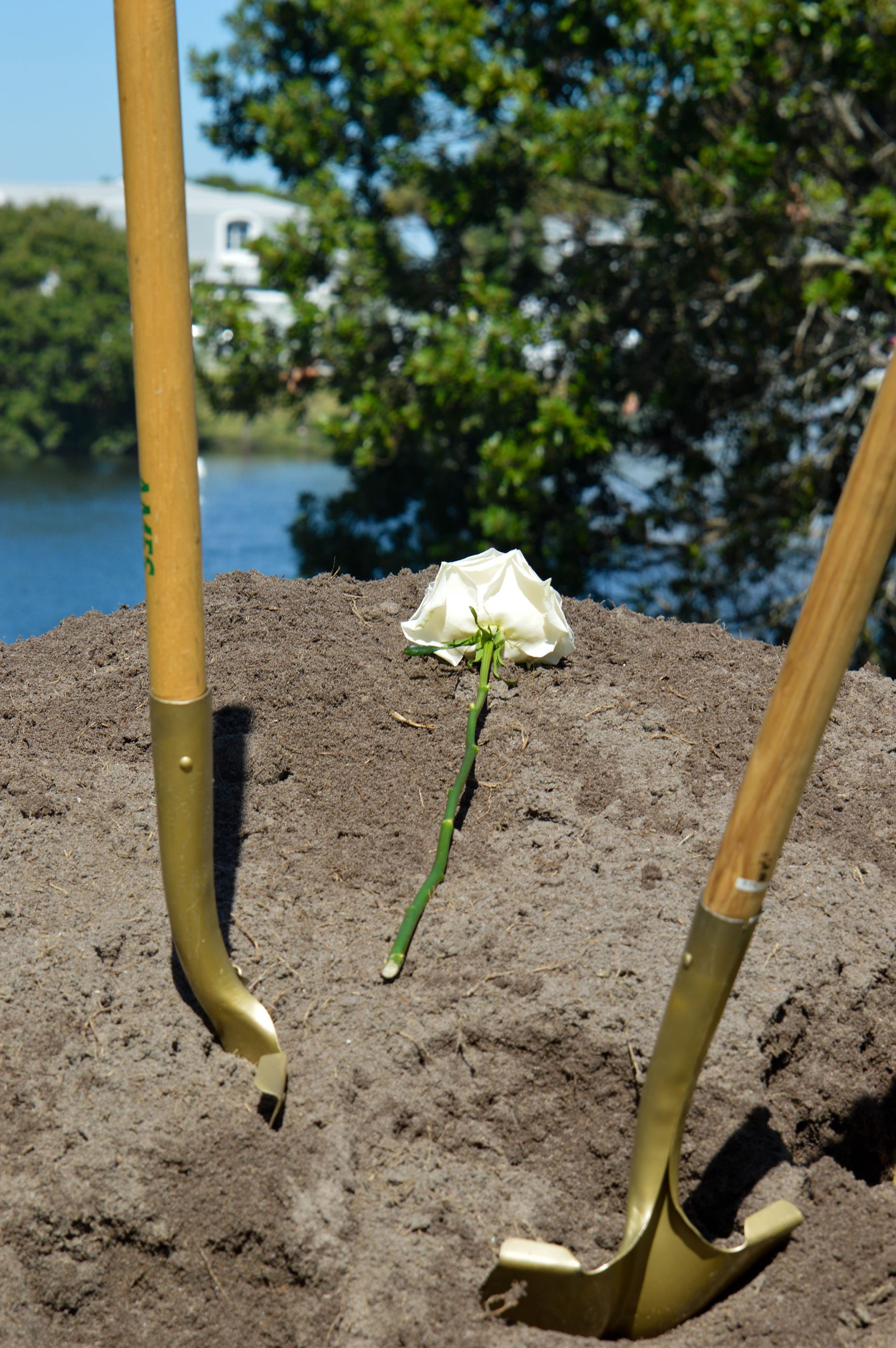 Compassionate Friends-3